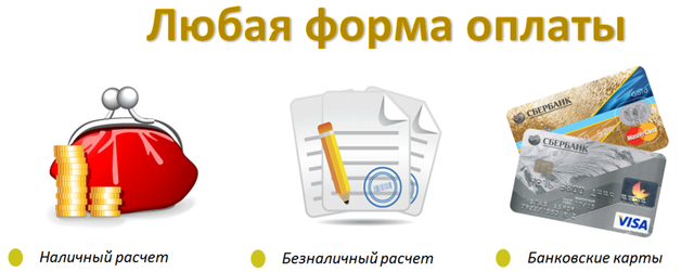 pay autodubna24